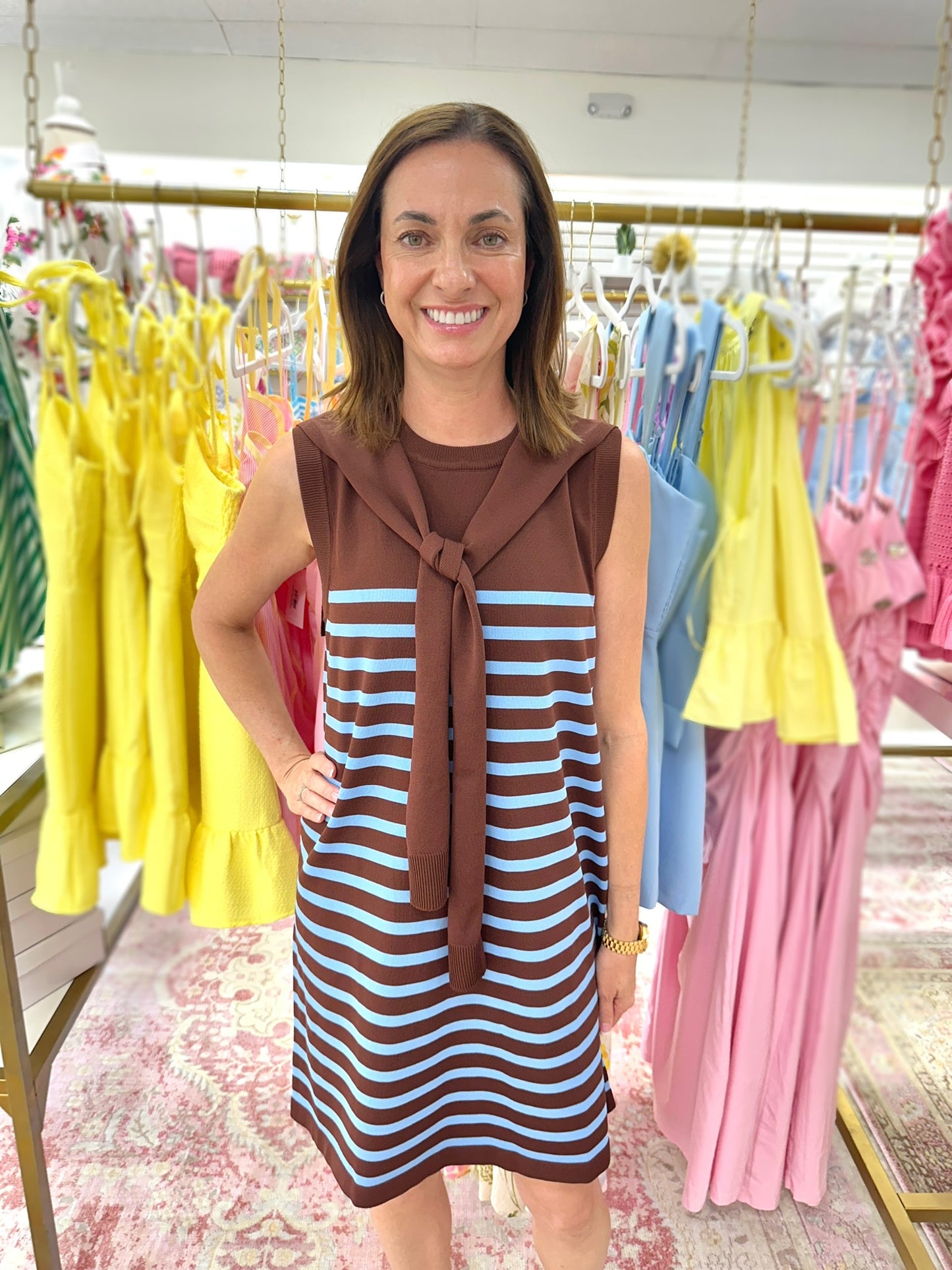 Dana Striped Faux Sweater Dress (Brown/Blue)
