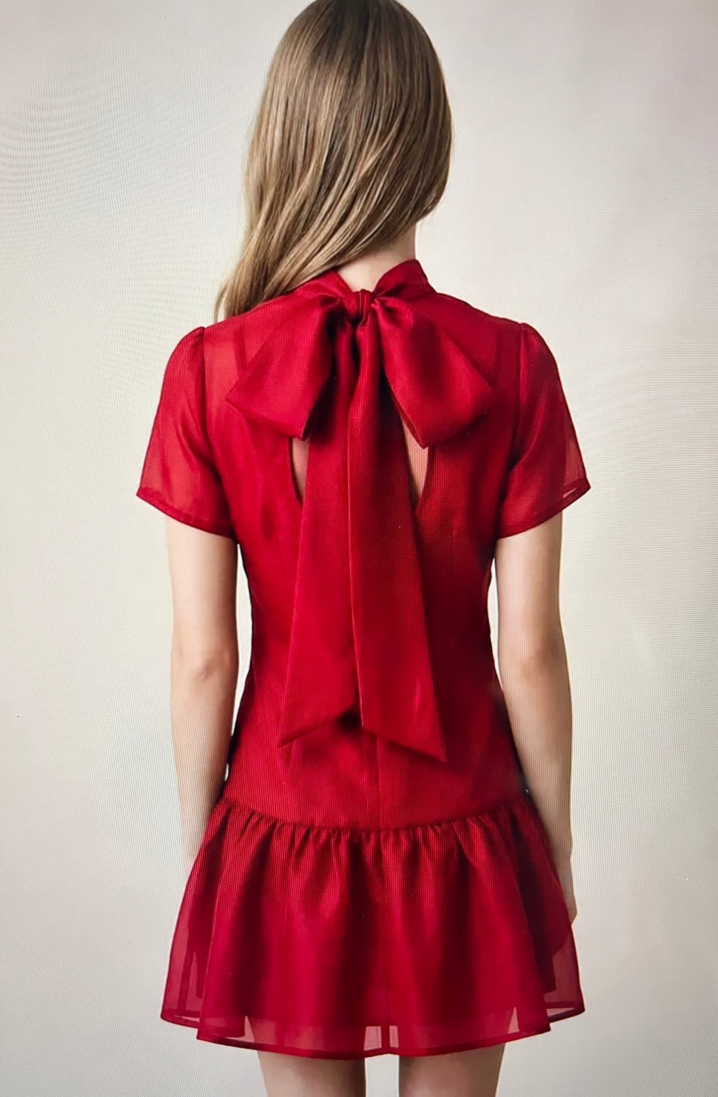Eliza Organza Mini dress (Red)