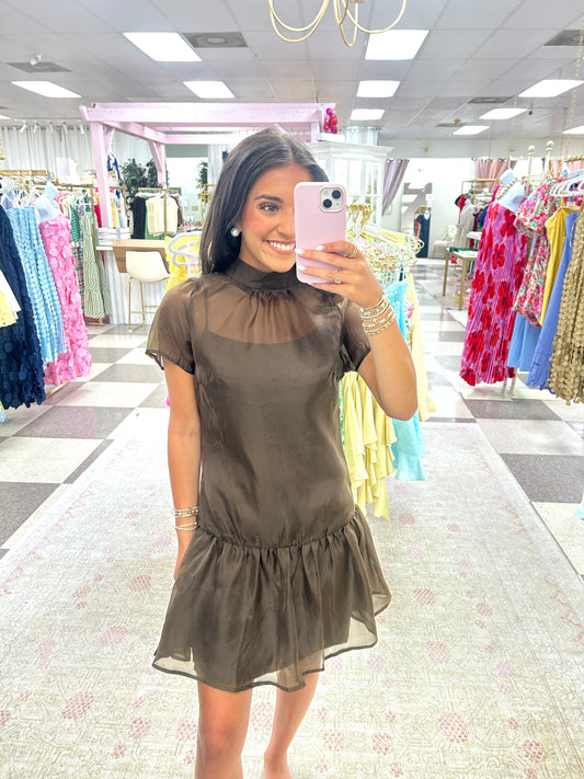Elise Organza Mini Dress (Brown)