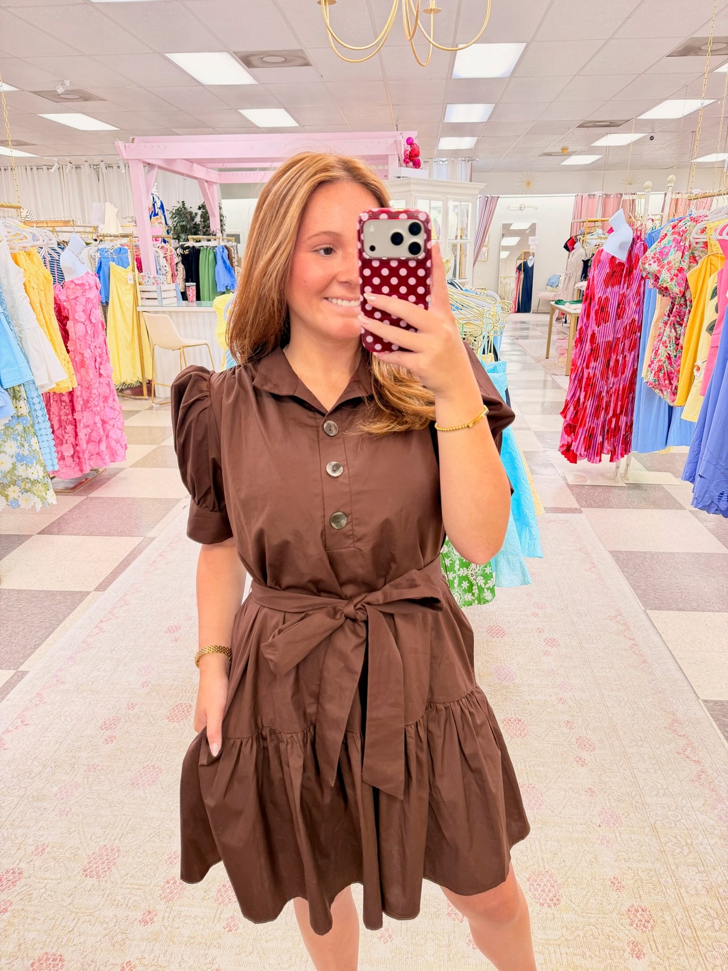 Chestnut Charm Dress (Brown)
