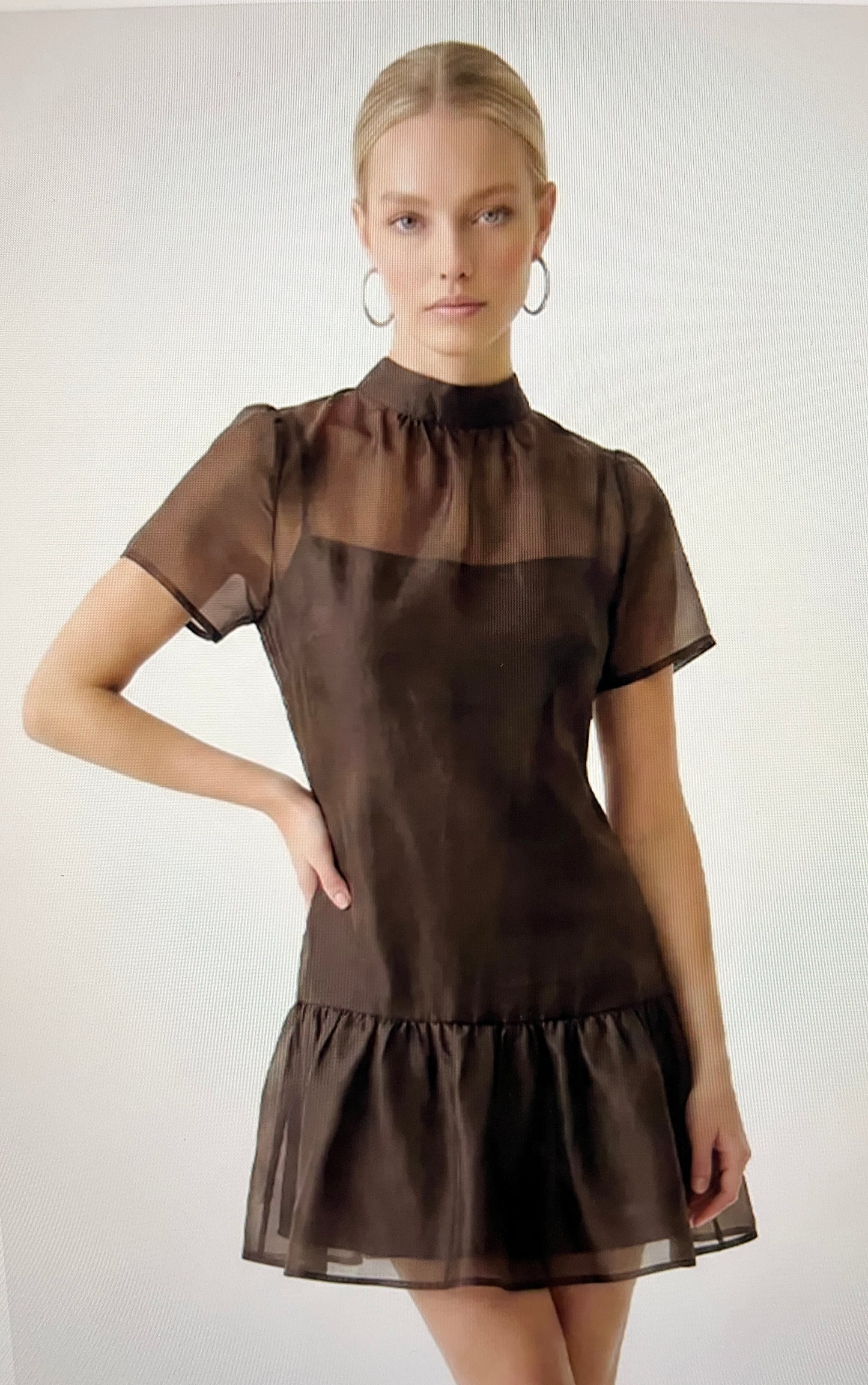 Elise Organza Mini Dress (Brown)