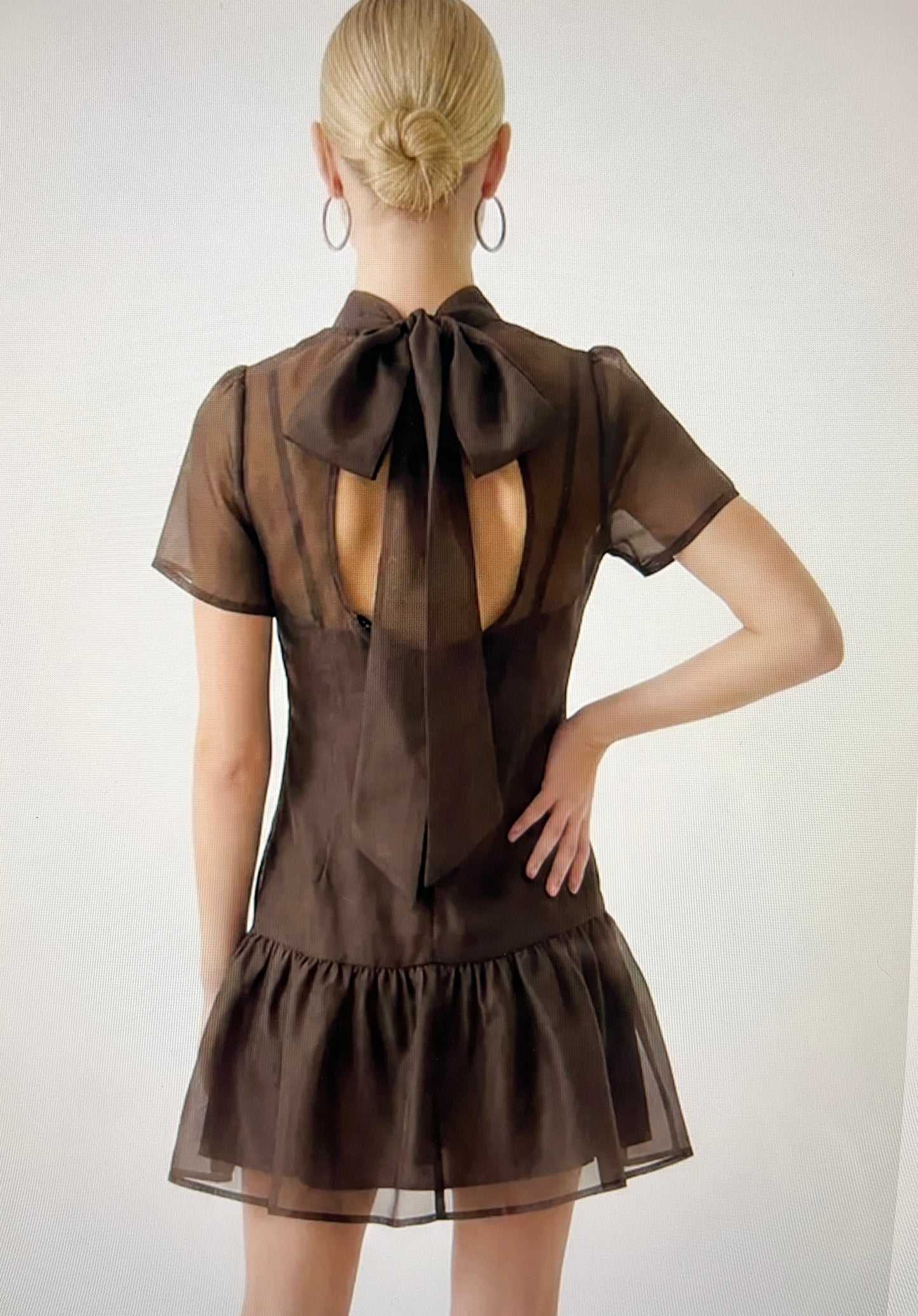 Elise Organza Mini Dress (Brown)