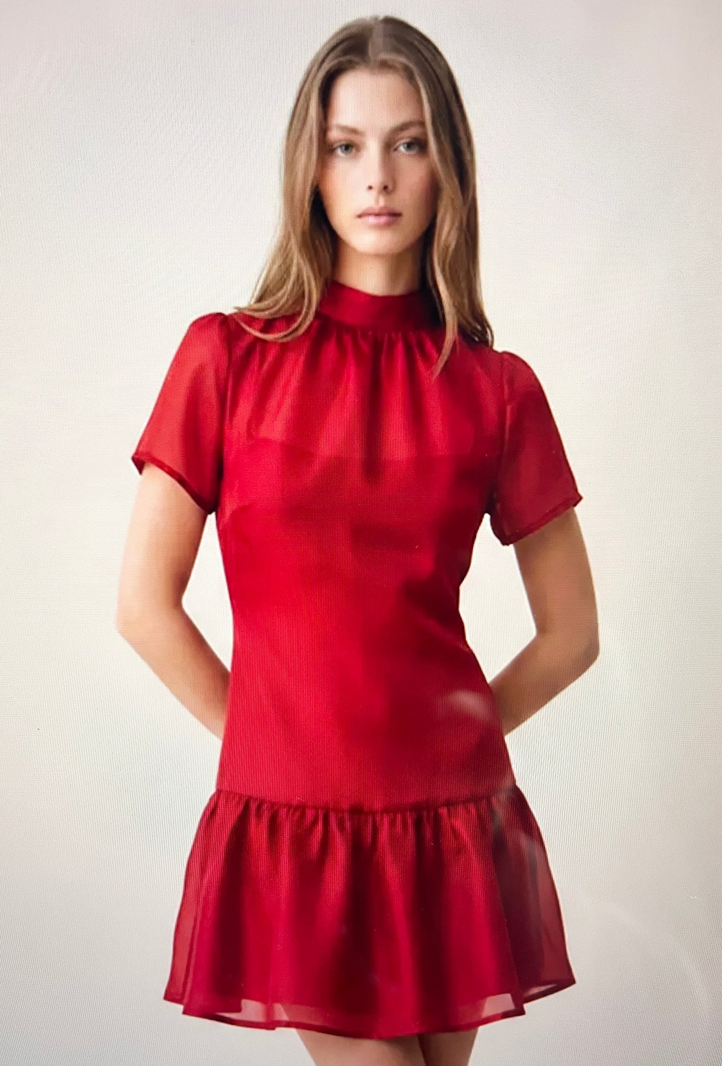 Eliza Organza Mini dress (Red)